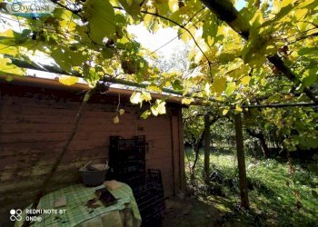 Terreno agricolo VIA DEL GINEPRO, Manziana - foto 5