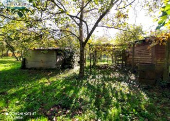 Terreno agricolo VIA DEL GINEPRO, Manziana - foto 7