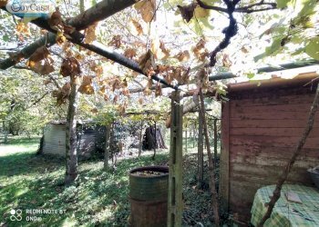 Terreno agricolo VIA DEL GINEPRO, Manziana - foto 8