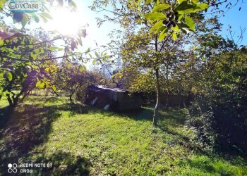 Terreno agricolo VIA DEL GINEPRO, Manziana - foto 9