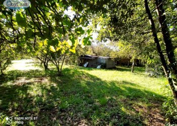 Terreno agricolo VIA DEL GINEPRO, Manziana - foto 10