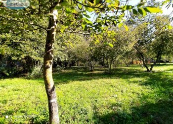 Terreno agricolo VIA DEL GINEPRO, Manziana - foto 11