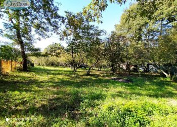 Terreno agricolo VIA DEL GINEPRO, Manziana - foto 12