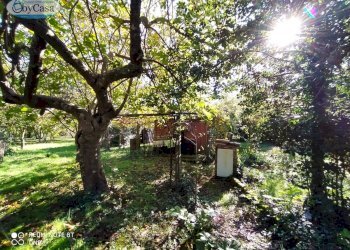 Terreno agricolo VIA DEL GINEPRO, Manziana - foto 13