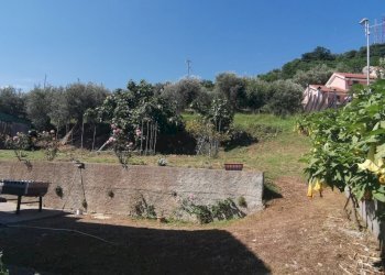 IMG_20200605_161501.jpg - Villa Via San Dalmazio, Savona - foto 12