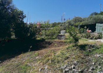 IMG_20200605_161559.jpg - Villa Via San Dalmazio, Savona - foto 17