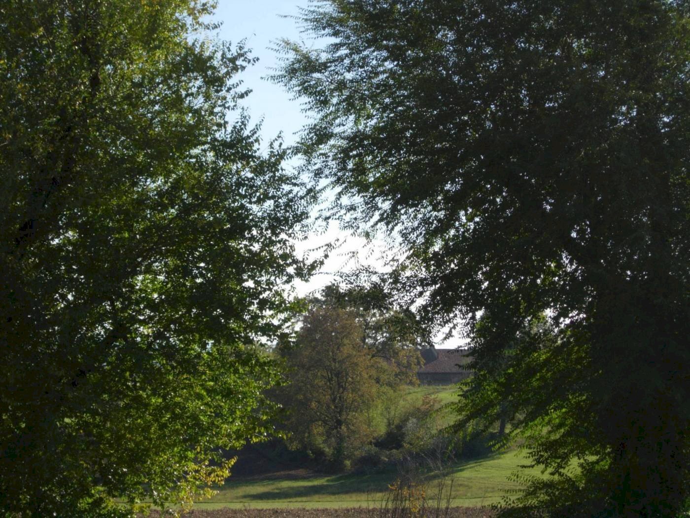 panorama - Appartamento Chieri - foto 3