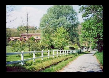 fotografia per identifica - Appartamento Chieri - foto 7