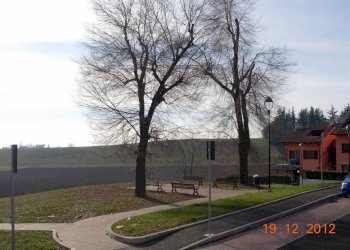 Parco antistante - Attico Chieri - foto 3
