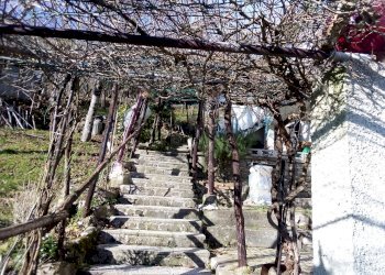 IMG_20191224_110549.jpg - Casa semi indipendente Frazione Groppo 34, Albareto - foto 13