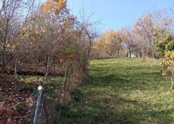 3f61a92b-15fa-473d-80ce-b415ef54ce86 - Semi-detached house Frazione Groppo 34, Albareto - photo 5