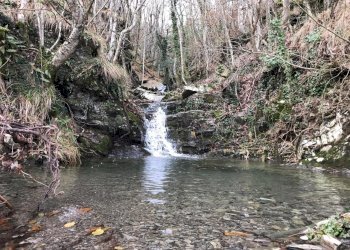 IMG-20191210-WA0003.jpg - Casa indipendente Frazione Groppo 30, Albareto - foto 2