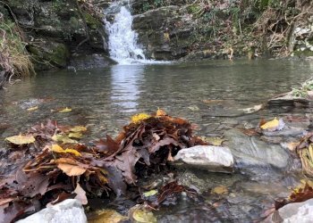 IMG-20191210-WA0001.jpg - Casa indipendente Frazione Groppo 30, Albareto - foto 10