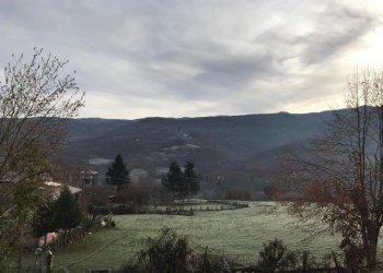 IMG-20191210-WA0002.jpg - Casa indipendente Frazione Groppo 30, Albareto - foto 11