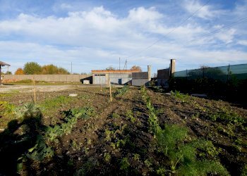 Casa indipendente Vicolo Badia, 11, Fontanetto Po - foto 10