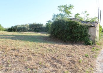 IMG_7330.JPG - Terreno edificabile Marcianese, Lanciano - foto 2