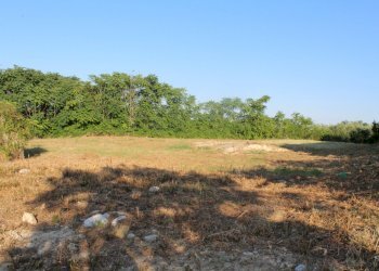 IMG_7317.JPG - Terreno edificabile Marcianese, Lanciano - foto 3