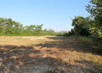 IMG_7316.JPG - Terreno edificabile Marcianese, Lanciano - foto 4