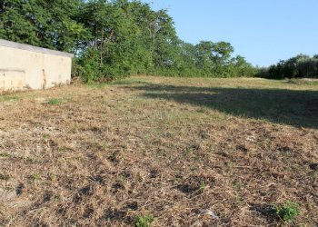 IMG_7327.JPG - Terreno edificabile Marcianese, Lanciano - foto 6