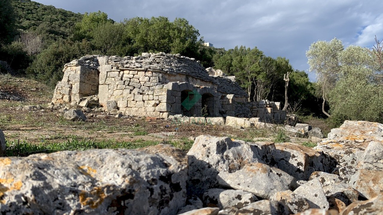 vista - Casale Contrada Torchiano, Monopoli - foto 1