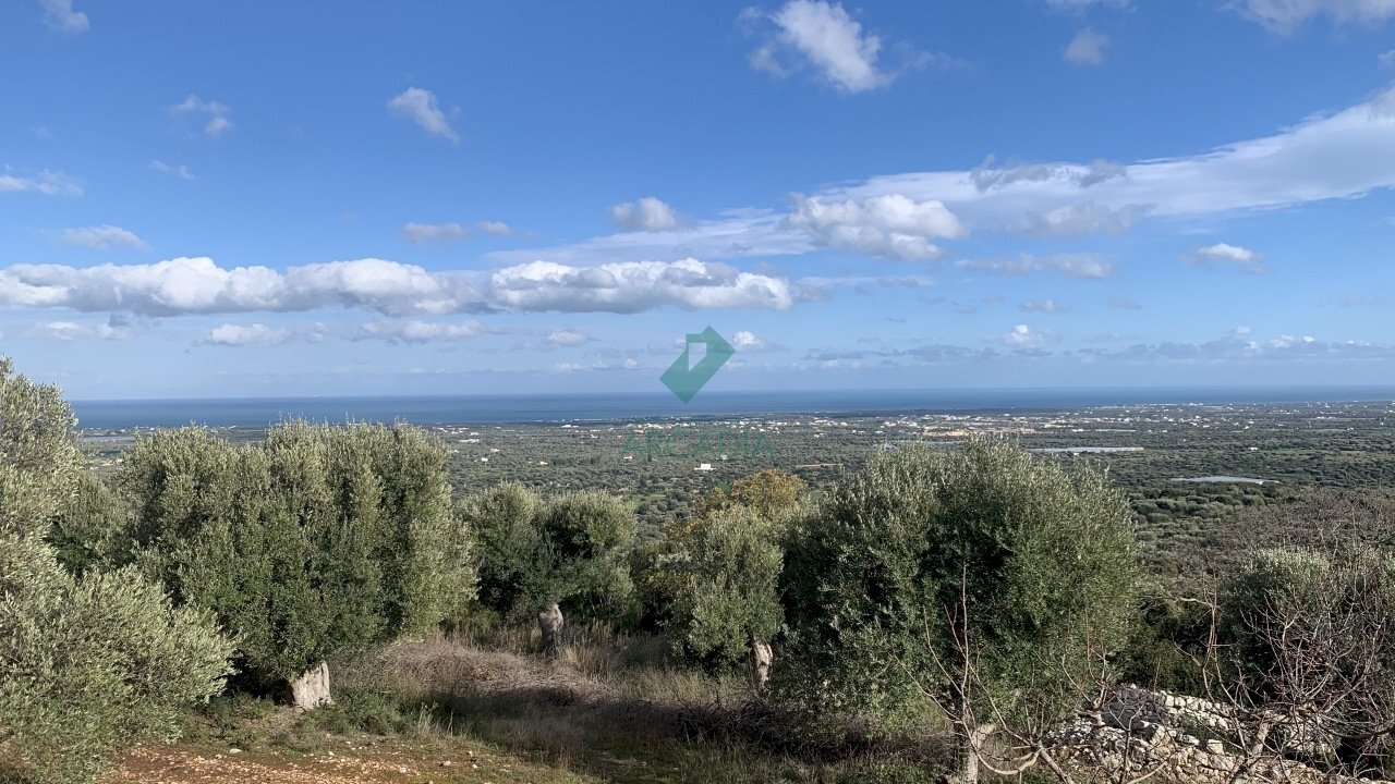 vista - Casale Contrada Torchiano, Monopoli - foto 3