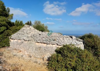 Trulli - Casale Contrada Torchiano, Monopoli - foto 4