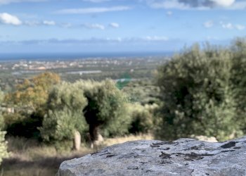 vista - Casale Contrada Torchiano, Monopoli - foto 6