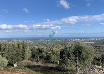 vista - Casale Contrada Torchiano, Monopoli - foto 3