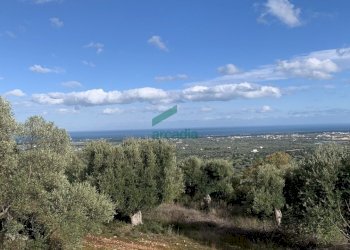 viste - Casale Contrada Torchiano, Monopoli - foto 7