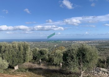 viste - Casale Contrada Torchiano, Monopoli - foto 11