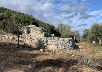 dettagli - Casale Contrada Torchiano, Monopoli - foto 12