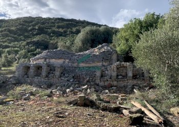 dettagli - Casale Contrada Torchiano, Monopoli - foto 13