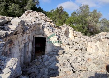 dettagli - Casale Contrada Torchiano, Monopoli - foto 15