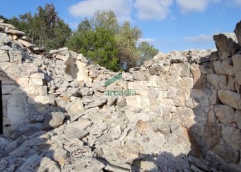 dettagli - Casale Contrada Torchiano, Monopoli - foto 17
