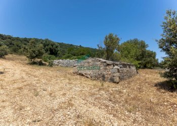 6N7A8619.jpg - Casale Contrada Torchiano, Monopoli - foto 18
