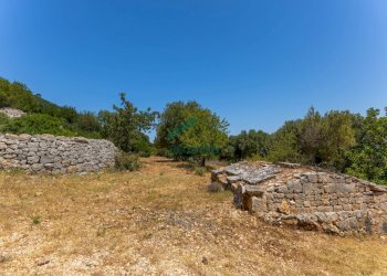 6N7A8622.jpg - Casale Contrada Torchiano, Monopoli - foto 21