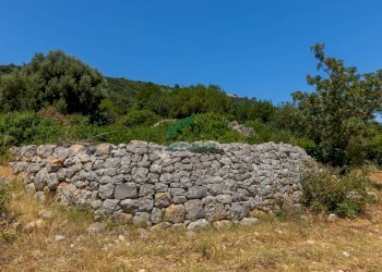 6N7A8623.jpg - Casale Contrada Torchiano, Monopoli - foto 22