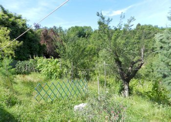 DSCN2437.JPG - Casale Via Fonda Quarta 120/C, Lucca - foto 9