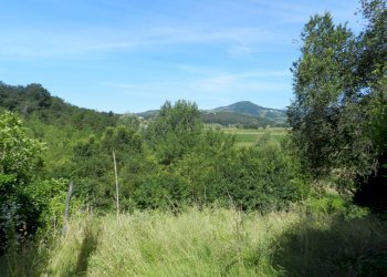 DSCN2439.JPG - Casale Via Fonda Quarta 120/C, Lucca - foto 10