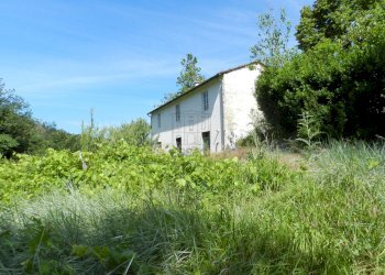 DSCN2449.JPG - Casale Via Fonda Quarta 120/C, Lucca - foto 12