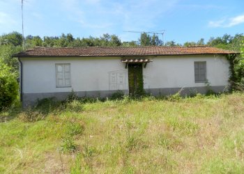 DSCN2453.JPG - Casale Via Fonda Quarta 120/C, Lucca - foto 14