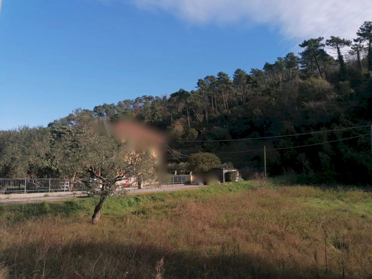 IMG-20201121-WA0004 (1).jpg - Agricultural land Sarzana - photo 2