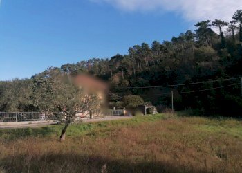 IMG-20201121-WA0004 (1).jpg - Terreno agricolo Sarzana - foto 2