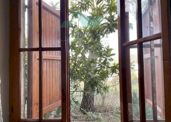 Independent house CLEMENTINA, Serra San Quirico - photo 10