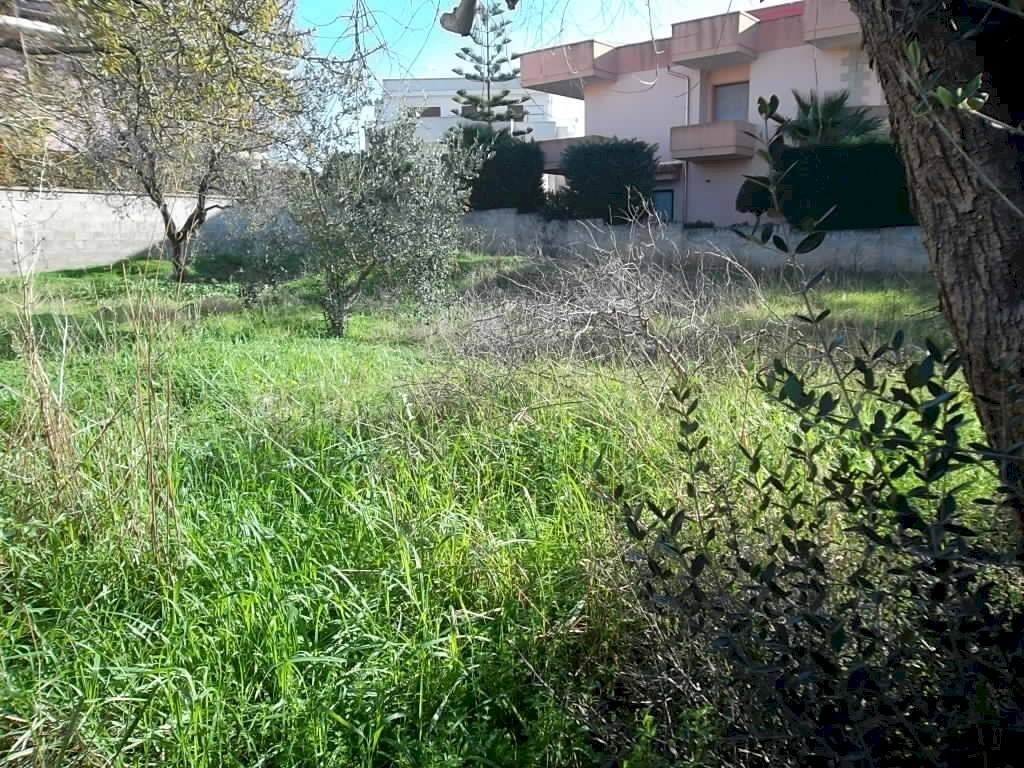 Building land via Roma, Matino - photo 2