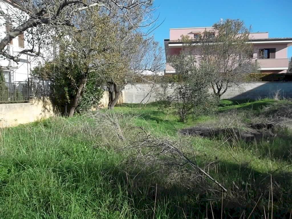 Building land via Roma, Matino - photo 3