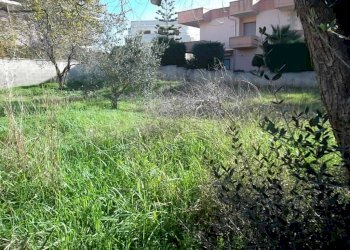Building land via Roma, Matino - photo 2