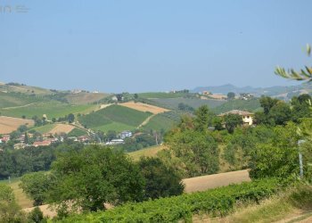 Rustico C.da San Venanzo, Castignano - foto 28