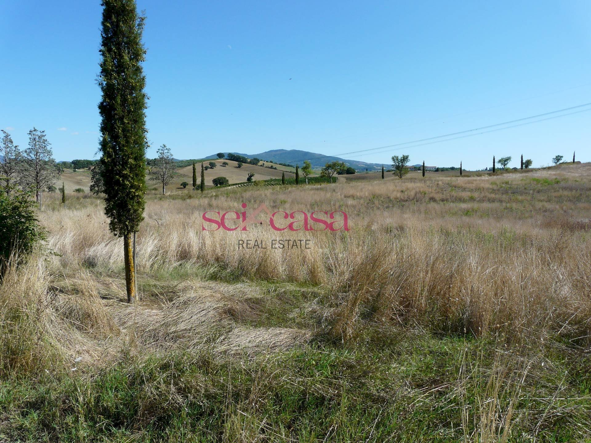 Azienda agricola Cinigiano - foto 1