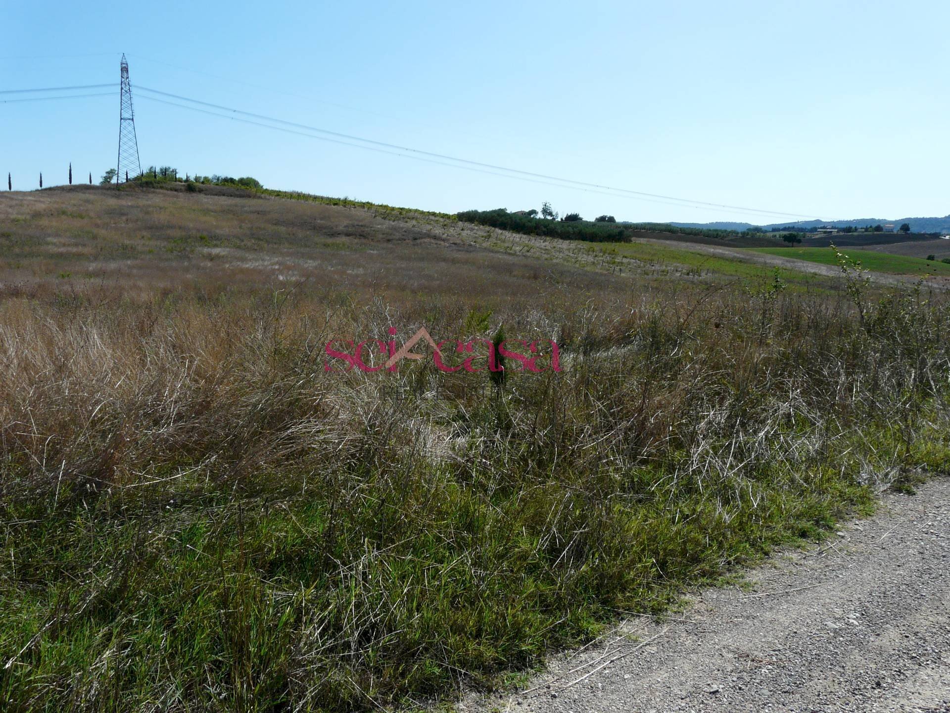 Azienda agricola Cinigiano - foto 2